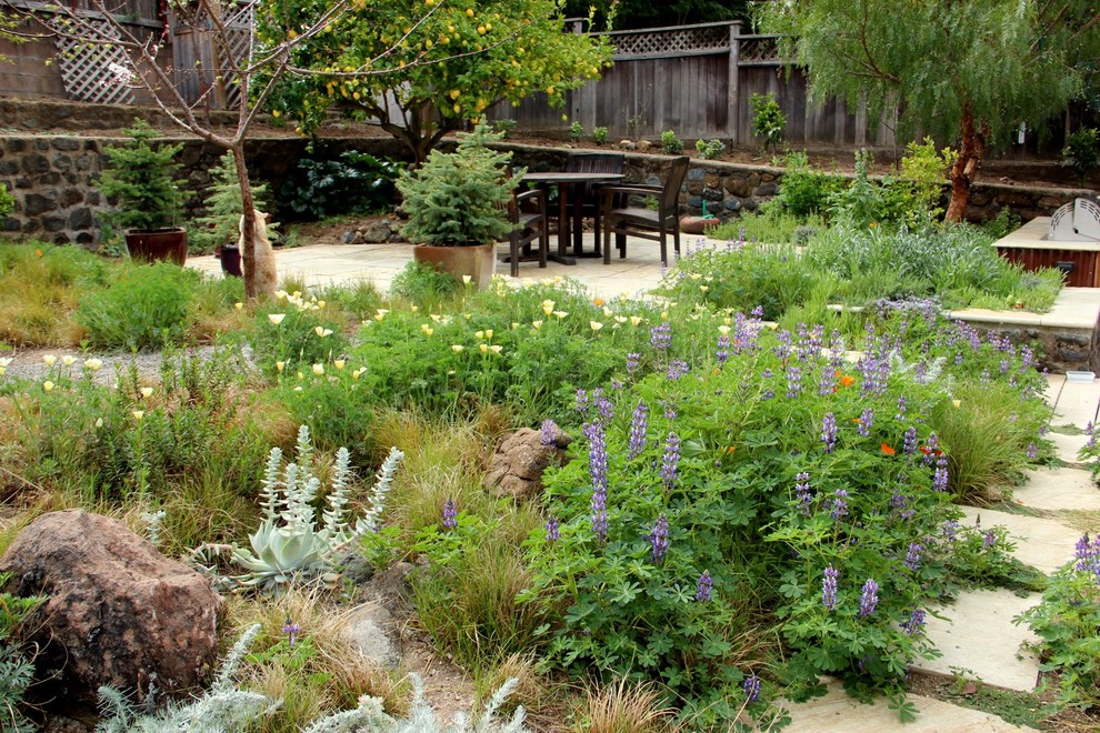 Craigslist San Luis Obispo for Mediterranean Landscape with Water Wise