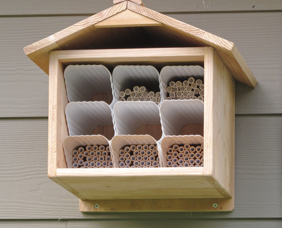 How to Get Rid of Mosquitos for Traditional Spaces with Mason Bees