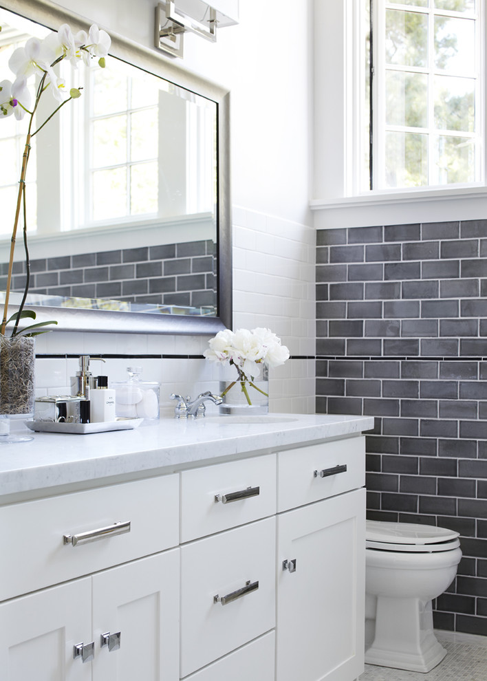 Pick and Pull Reno for Transitional Bathroom with Gray Bathroom