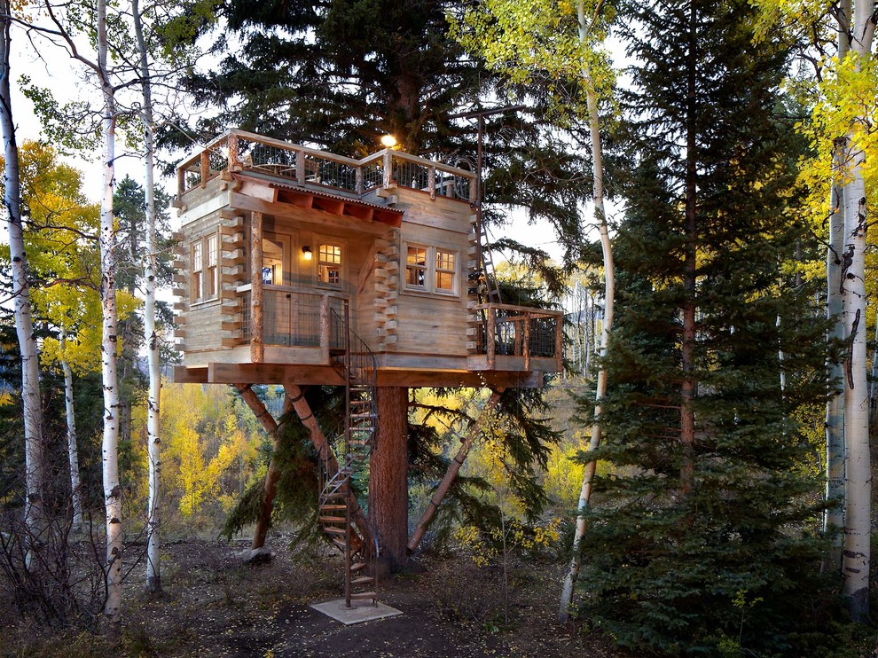 Treehouse Designs for Rustic Exterior with Outdoor Lighting